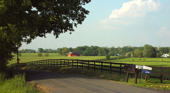 loyalty road near waterford va