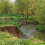 Catoctin Creek Stream Banks in Loudoun County VA