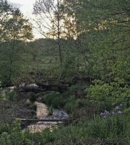 Foot bridge to Marker 9 on the Phillips Farm Trail in Loudoun County VA