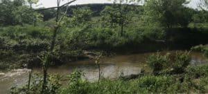 View of the old farm land on Catoctin Creek in Waterford VA