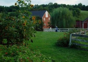 schooley mill barn in the spring in Waterford Virginia